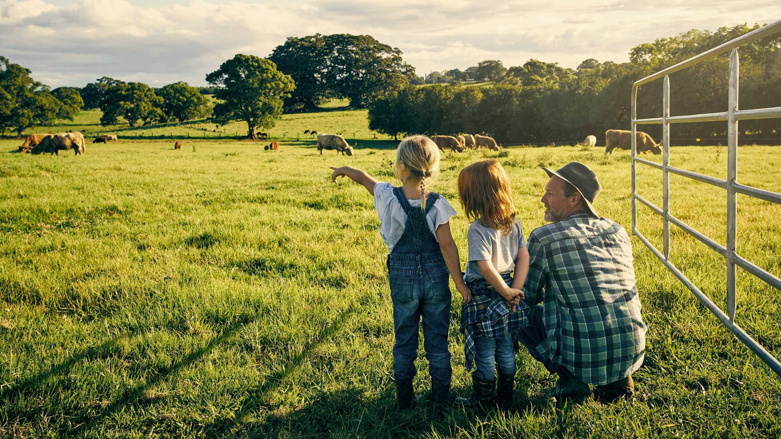 Embarking on Rural Living: Opportunities and Experiences